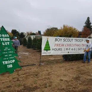 Getting the Tree Lot Ready