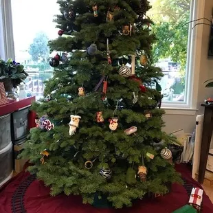 A happy customer's tree!