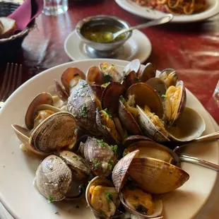 Clams with pasta and white wine sauce