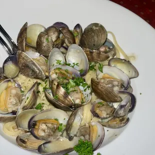 Linguine Vongole