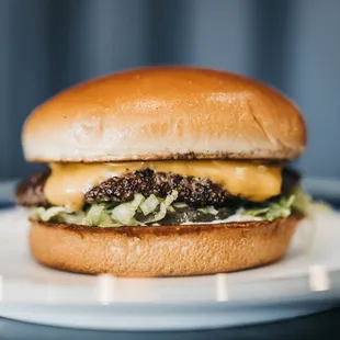 a cheeseburger on a plate