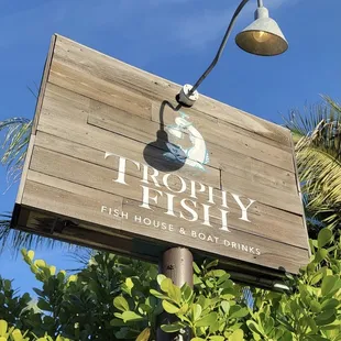 Trophy fish sign