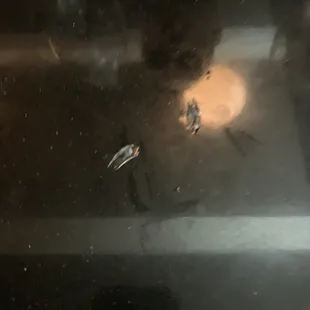 There was glass in the beer and the managers said it was plastic and were very rude