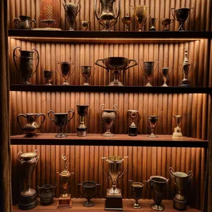 Trophy case