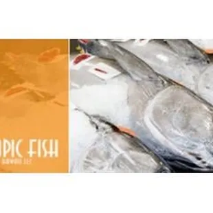 Tropic Fish Hawaii