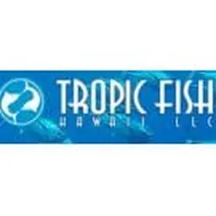 tropic fish hawaii