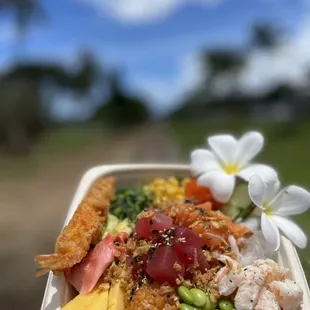 food, sushi and sashimi