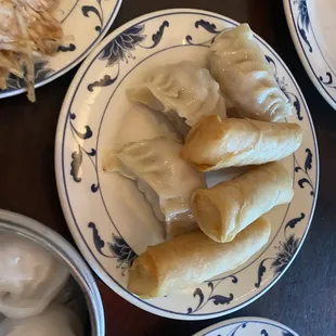 Chicken Dumplings