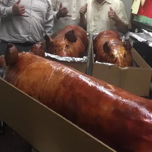 a man giving a thumbs up to a group of pigs