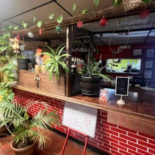 a bar with plants on the counter