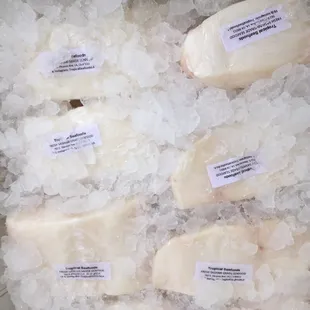 Fresh Wild Chilean Seabass, flown in from Chile