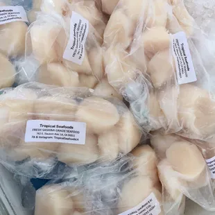 Fresh Sea Scallops, caught and flown in from Maine