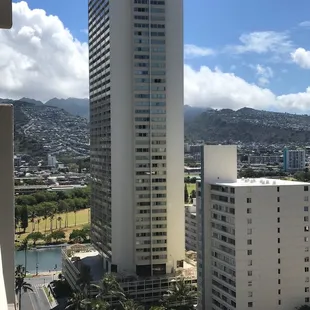 Views of tropical studios