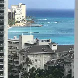 Views from tropical studios