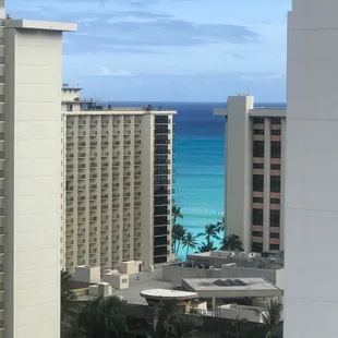 Views from tropical studios