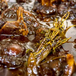 a close up of a dish of meat