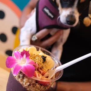 Tropical Bowl