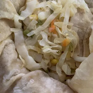 What's in this photo you ask? Loveless, flavorless, dry, pathetic, scrubish cabbage masquerading as a veggie Roti according to Tropi-hella!