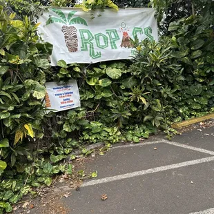 oysters and mussels, outside