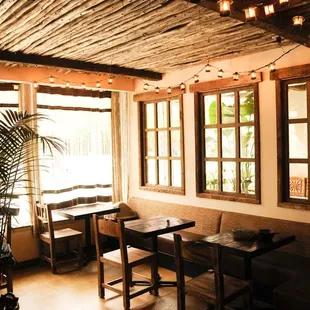 Afternoons at Tropisueño