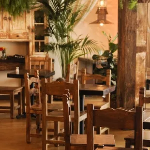 Tropical taqueria by day