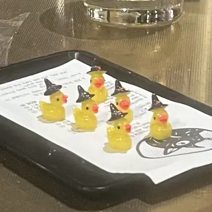 Wizard ducks to take home !