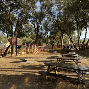 Outdoor area and playground