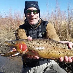 One of the 20 fish I caught with Ron above Spinney.