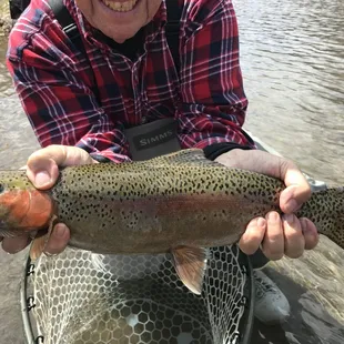 Its a beauty!