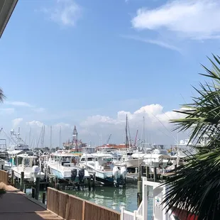 Love the views from Trout Street patio!!! Fabulous! Plus the food, oh my, so delicious!