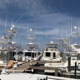 Marina views from Trout Street, really beautiful!!!
