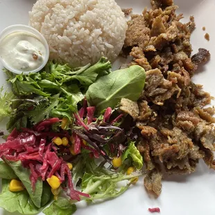 Gyro Plate