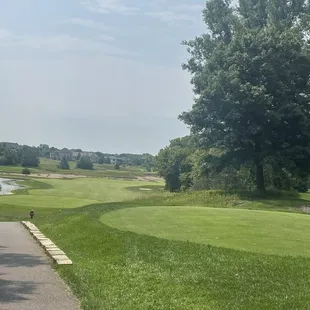 Tee box shot