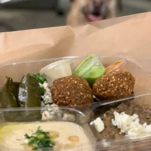 Mezzo app and dog ready to eat!