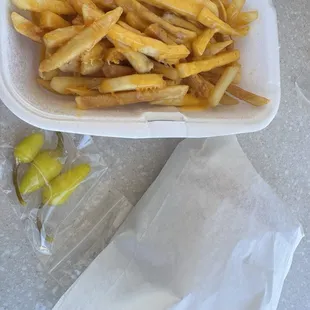 Cheese Fries