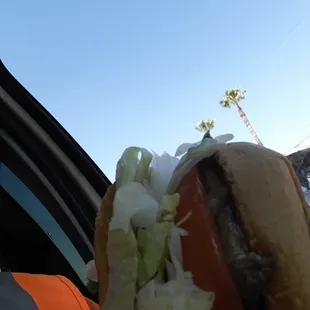 Steak Sandwich