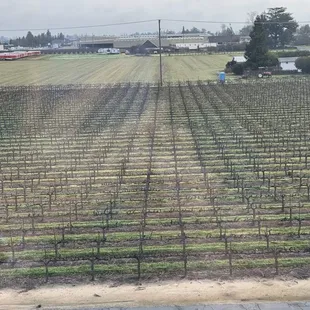 View from room on 4th floor