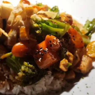 Teriyaki chicken with rice and veggies