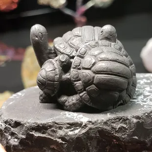 Shungite turtle family