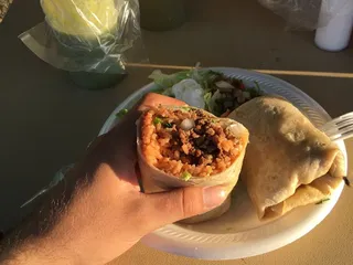 Taco Landia