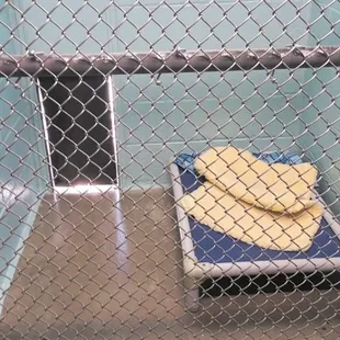 On nice days, Franklin can go outside to enjoy the weather!