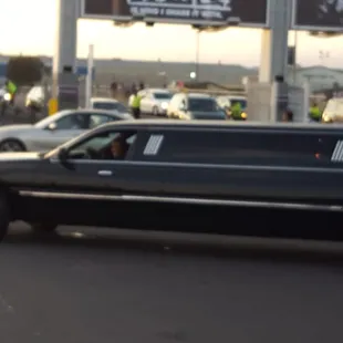 Natasha ready for you at Oracle Arena