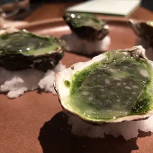 Broiled Oysters