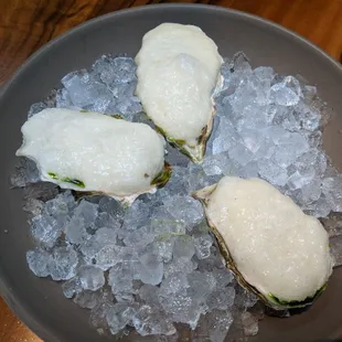 Raw Oysters