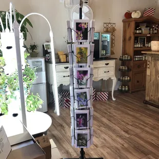 Inside our store
