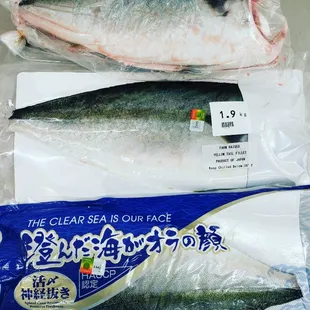 Fresh Hamachi (Yellowtail)