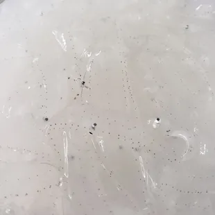 Noresore (Baby Conger Eel)