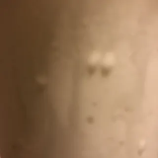 Vanilla Shake