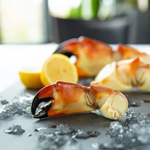 Florida stone crab claws