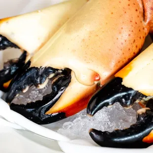 oysters and mussels, food, mussels, shellfish, oysters